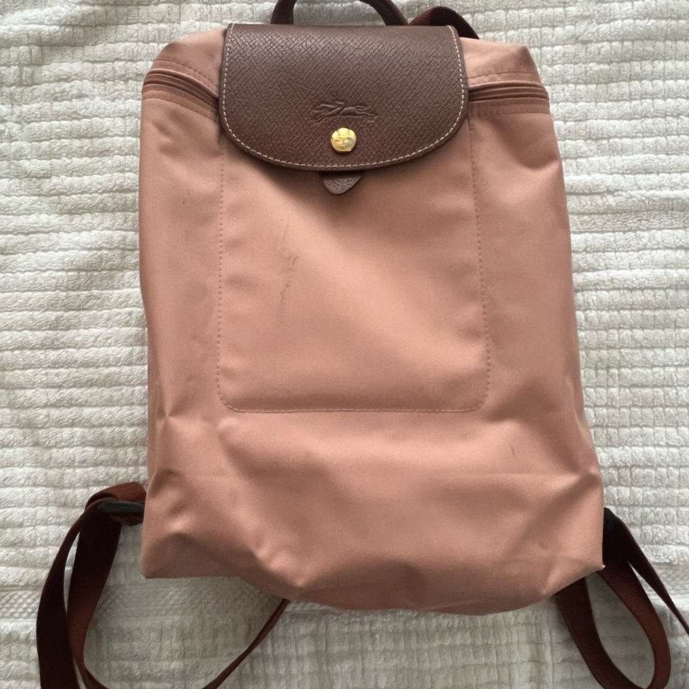 Longchamp Rose and Chocolate Backpack